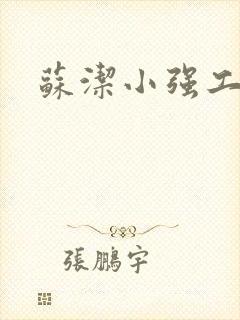 苏洁小强工地情