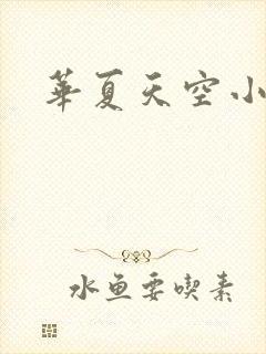 华夏天空小说网