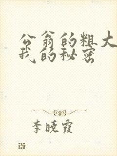 公翁的粗大放进我的秘密