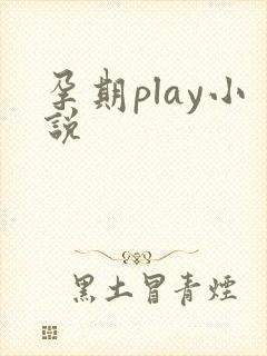 孕期play小说