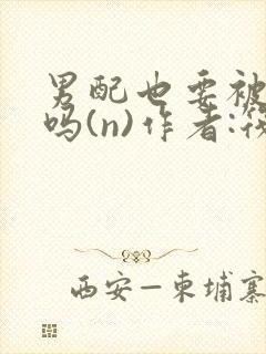 男配也要被爆炒吗(n)作者:筏喻