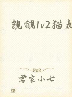 觊觎1v2猫丸