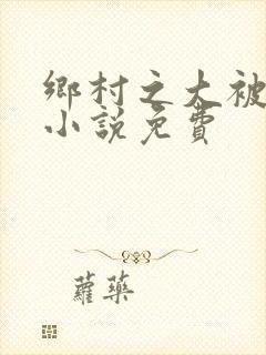 乡村之大被同眠小说免费