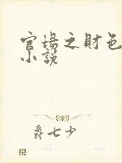 官场之财色诱人小说