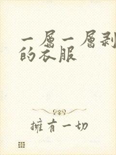 一层一层剥开我的衣服