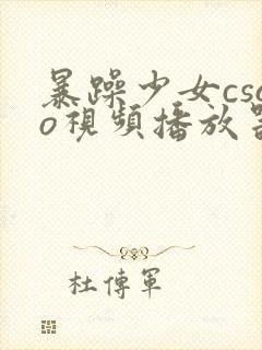 暴躁少女csgo视频播放器推荐