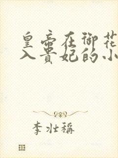 皇帝在御花园进入贵妃的小说