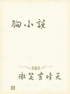 胸小说