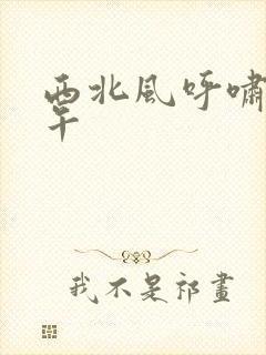 西北风呼啸的中午