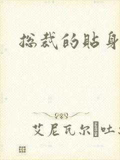 总裁的贴身女佣