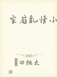 家庭乱情小说