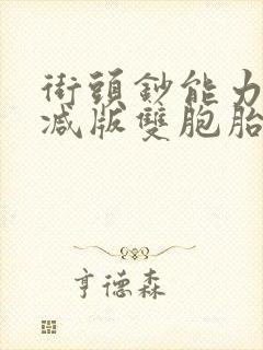 街头钞能力无删减版双胞胎