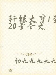 轩辕大宝1至720章全文