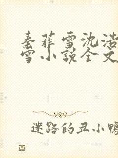 秦菲雪沈浩秦菲雪小说全文免费阅读求书