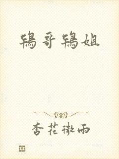 鸨哥鸨姐