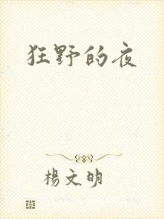狂野的夜