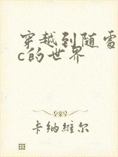 穿越到随处可以c的世界