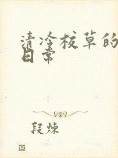 清冷校草的抹布日常