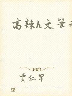 高辣h文笔趣阁