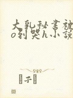 大乳秘书被cao到哭h小说