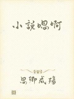 小说嗯啊