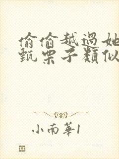 偷偷越过她by甄栗子类似小说