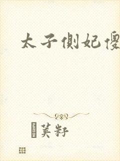 太子侧妃傻乎乎