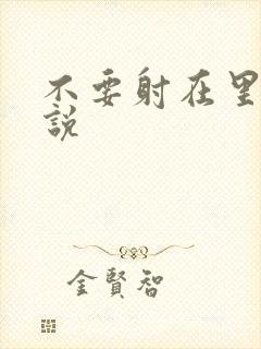 不要射在里面小说