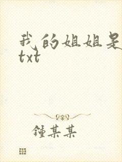 我的姐姐是美女txt