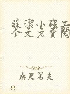 苏洁小强工地情全文免费阅读