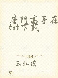 唐门高手在异世txt下载