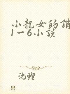 小龙女的销魂夜1一6小说