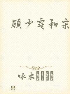 顾少霆和宋斯曼