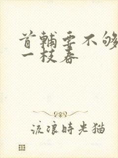 首辅要不够po一枝春