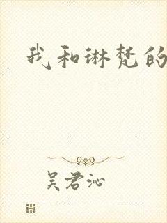 我和琳梵的故事