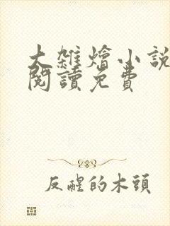 大杂烩小说全集阅读免费