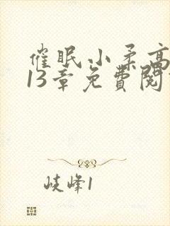 催眠小柔高达第13章免费阅读