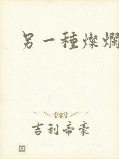 另一种灿烂生活