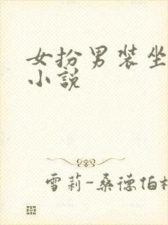 女扮男装坐江山小说