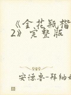 《金花瓶楷梅花2》完整版封面
