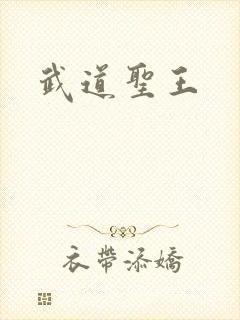 武道圣王
