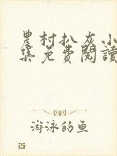 农村扒灰小说全集免费阅读