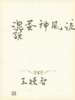 混蛋神风流史小说封面