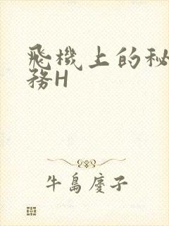 飞机上的秘密服务H