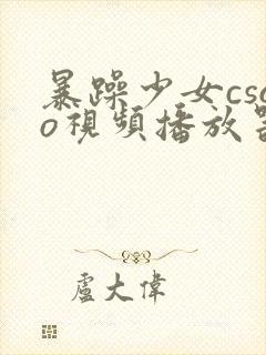 暴躁少女csgo视频播放器推荐