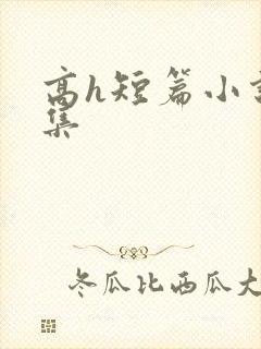 高h短篇小说合集