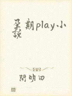 孕期play小说