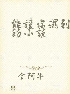 能让你湿到不行的小说