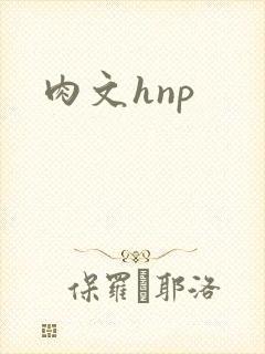 肉文hnp