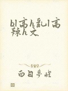 bl高h乱l高辣h文